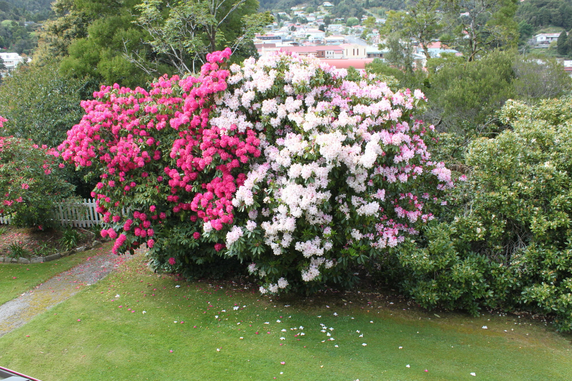 Penghana Bed And Breakfast Queenstown Esterno foto